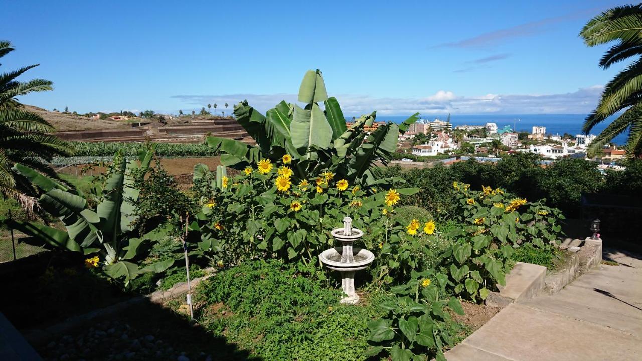 Cristina Sol H1 Apartment Puerto de la Cruz  Exterior photo